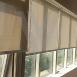 Window Blinds for Office